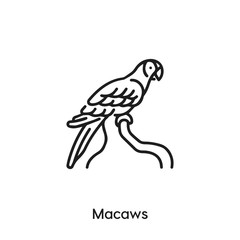 Fototapeta premium macaws icon vector. macaws icon vector symbol illustration. Modern simple vector icon for your design. macaws icon vector 