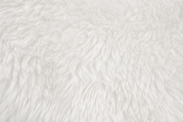 White real wool with beige top texture background. light cream natural sheep wool.  seamless plush cotton, texture of fluffy fur for designers