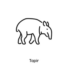 Tapir icon vector. Tapir icon vector symbol illustration. Modern simple vector icon for your design. Tapir icon vector	