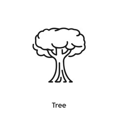 tree icon vector . tree sign symbol