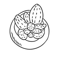 Hygge potted cactus plant doodle top view. Comic style cozy lagom scandinavian style succulent isolated image