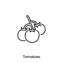 tomatoes icon vector. tomatoes icon vector symbol illustration. Modern simple vector icon for your design. tomatoes icon vector