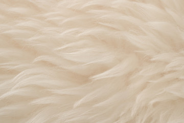 White real wool with beige top texture background. light cream natural sheep wool.  seamless plush cotton, texture of fluffy fur for designers