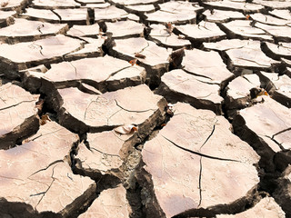 Wallpaper,Patterns and textures cracked soil,Drought of the ground,Ideal for editing the map of the globe.