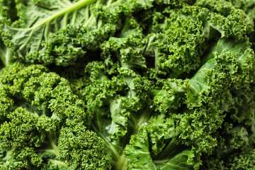 Fresh wet kale leaves as background, closeup