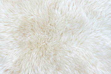 White real wool with beige top texture background. light cream natural sheep wool.  seamless plush cotton, texture of fluffy fur for designers