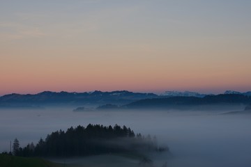 Sea of Sea of fog with forest island in sunset light with Swiss Alps in background