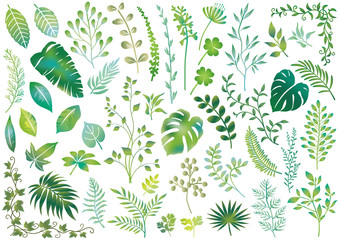 水彩風ボタニカルエレメントのセット © CallMeTak