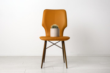 Chair with cactus near white wall. Hemorrhoids concept