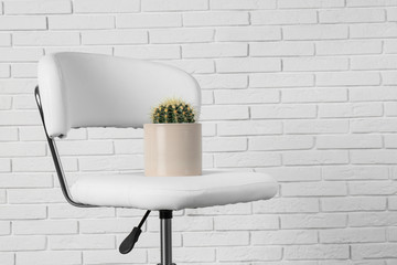 Chair with cactus near white brick wall, space for text. Hemorrhoids concept © New Africa