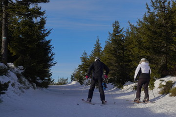 Fototapete bei efototapeten.de bestellen   