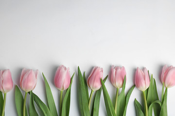 Beautiful pink spring tulips on white background, top view