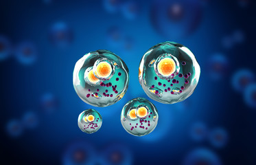 Human cells. Cell background. 3d illustration.