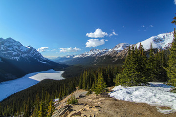 Beautiful mountain lake in wilderness Canada national park provincial park Peyto lake Banff Jasper nices drive on earth frozen lake in spring or late fall