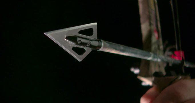 Compound bow and arrow
