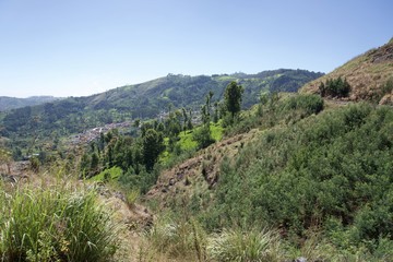 Naklejka premium View point and green trees with blue sky and tea garden 
