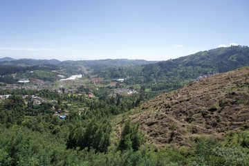Naklejka premium View point and green trees with blue sky and tea garden 
