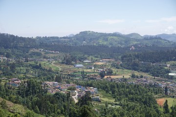 Obraz premium View point and green trees with blue sky and tea garden 