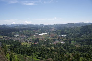 Naklejka premium Punkt widokowy i zielone drzewa z błękitnym niebem i ogródkiem herbacianym