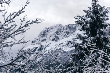 The snowy mountains, the forest and the nature of the Alps during a winter day near the town of Ardesio, Italy - December 2019.
