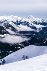 Fototapeta premium The snowy mountains, the forest and the nature of the Alps during a winter day near the town of Ardesio, Italy - December 2019.
