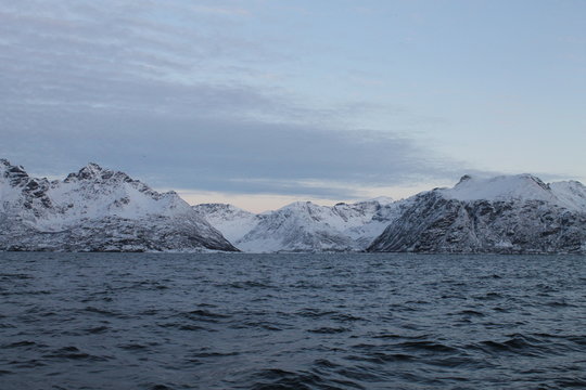 Arctic Fjords - Fiordi artici