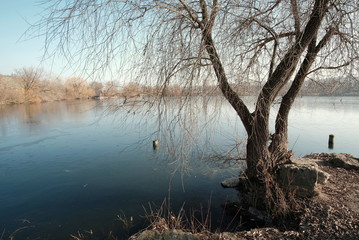 Winter am Max-Eyth See