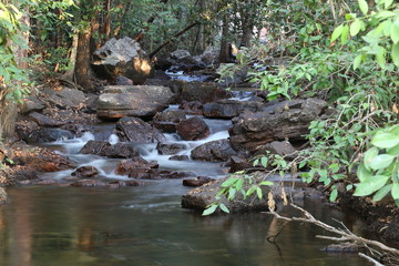 Stream