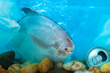 Fototapeta premium Disposal of waste into water sources, such as plastic bags, is non-biodegradable, causing pollution and is harmful to aquatic animals and ecological systems.