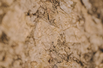 Close up golden abstract selective focus background