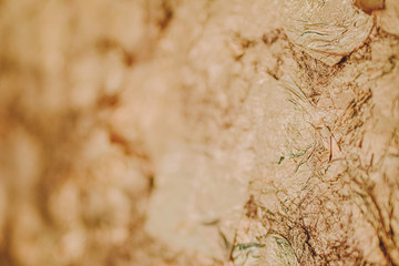 Close up golden abstract selective focus background