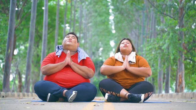 Fat young couple doing yoga exercises at the park