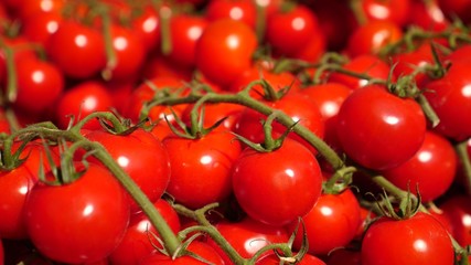 Closeup Of Red Cherry Tomatoes