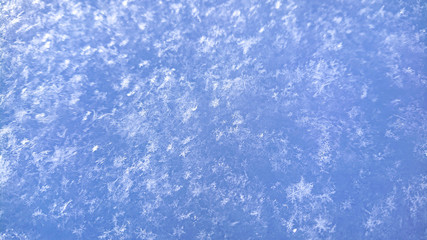 CLOSE UP: Detailed shot of frozen snowflakes stuck to a light blue icy surface.