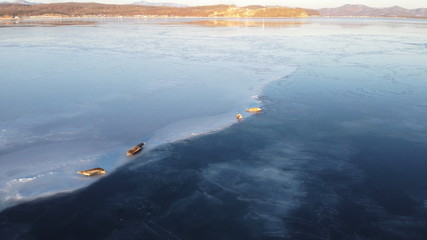 Aerial image of seals (spotted seal, largha seal, Phoca largha) laying on the ice floe in sunny day. Winter sunset light. Wild spotted seals in natural habitat.