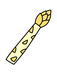 アスパラガス(白)