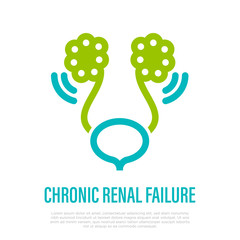 Chronic failure renal. Kidney disease. Pyelonephritis. Thin line icon. Healthcare and medical vector illustration.
