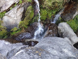 waterfall in forest