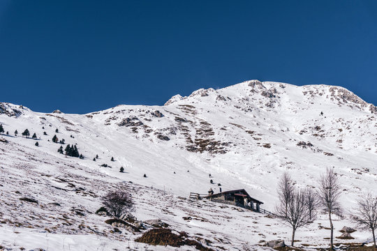 The snowy mountains, the woods and the mountain pastures during a fantastic winter day, near the town of Borno, Italy - December 2019.