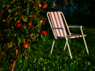 folding chair in the garden in summer, Russia