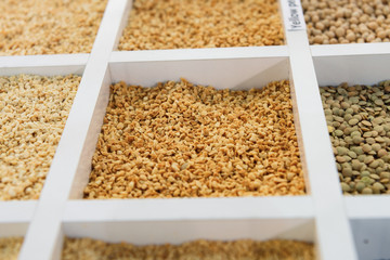 Crushed peanuts with different flavors and seasonings. Nuts are poured into square cells.