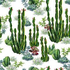 Cacti seamless pattern watercolor. Cactus and succulent illustration. Use as print, home or garden decoration, wrapping paper, textile or wallpaper.  - 317923991