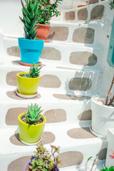 Traditional greek colorful flowerpots with flowers on steps on streets of old village in Greece