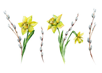 Hand-drawn watercolor drawing for Easter holiday with pussy-willow and daffodils. Bohemian style design, isolated spring season illustration on white. - 317925151