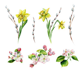 Hand-drawn watercolor drawing for Easter holiday with pussy-willow, apple tree flowers and daffodils. Bohemian style design, isolated spring season illustration on white. - 317925171