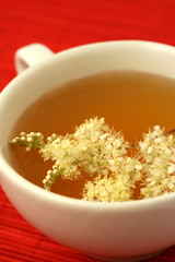 Infusion of meadowsweet. Filipendula ulmaria.