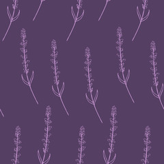 Hand drawn seamless pattern lavender flowers on violet background. Vector illustration.