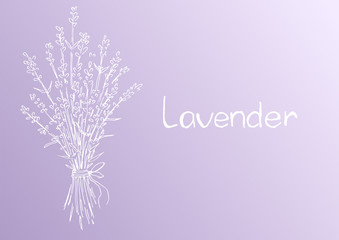 Bouquet lavender flowers with space for text. Template for greeting card, postcard, prints.