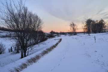 Winter landscape-frosty trees in a snow-covered birch forest on a Sunny morning. Calm winter nature in sunlight