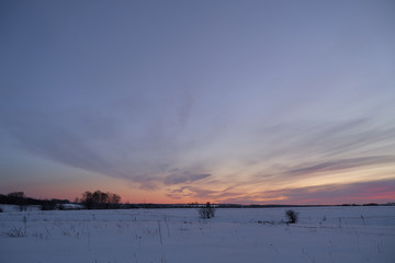 Winter landscape-frosty trees in a snow-covered birch forest on a Sunny morning. Calm winter nature in sunlight